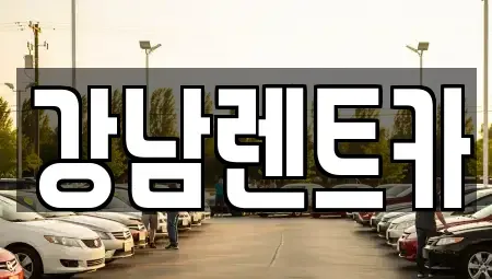 대전 대덕구 와동 렌트카 전문 강남렌트카