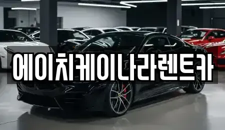 대전 대덕구 와동 렌트카 전문 에이치케이나라렌트카
