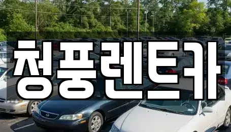 대전 대덕구 이현동 렌트카 전문 청풍렌트카