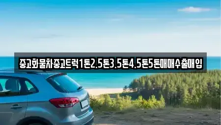대전 대덕구 이현동 중고차 전문 중고화물차중고트럭1톤2.5톤3.5톤4.5톤5톤매매수출매입