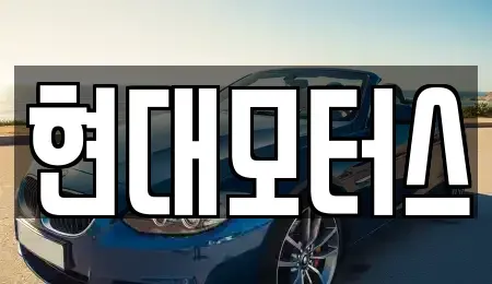 대전 대덕구 이현동 중고차 전문 현대모터스