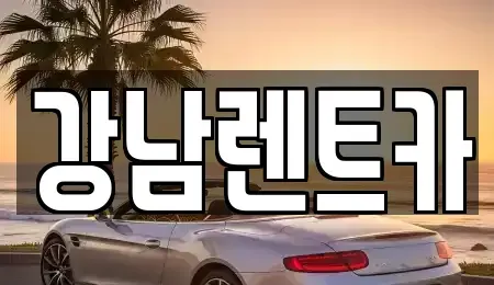 대전 동구 신흥동 렌트카 전문 강남렌트카