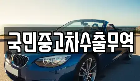 대전 동구 신흥동 중고차매매 전문 국민중고차수출무역