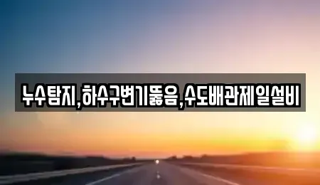 대전 동구 신흥동 중고차매입 전문 누수탐지,하수구변기뚫음,수도배관제일설비