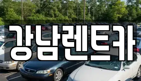 대전 동구 추동 렌트카 전문 강남렌트카