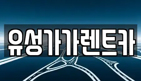 대전 유성구 신봉동 렌트카 전문 유성가가렌트카