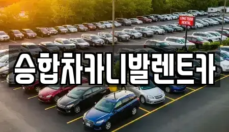 대전 중구 산성동 렌트카 전문 승합차카니발렌트카