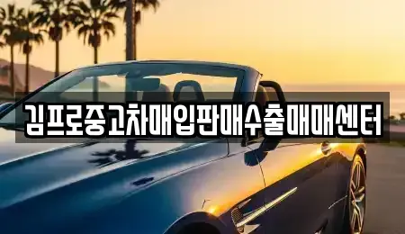 대전 중구 산성동 중고차,렌트카,중고차매입,중고차매매,장기렌트카,단기렌트카