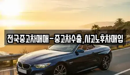 대전 중구 산성동 중고차 전문 전국중고차매매-중고차수출,사고노후차매입