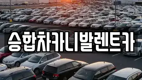 대전광역시 대덕구 장동 렌트카 전문 승합차카니발렌트카
