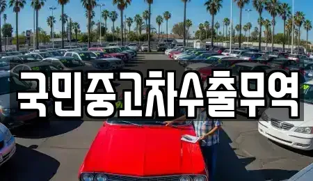 대전광역시 대덕구 장동 중고차 전문 국민중고차수출무역