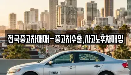 대전광역시 대덕구 장동 중고차 전문 전국중고차매매-중고차수출,사고노후차매입
