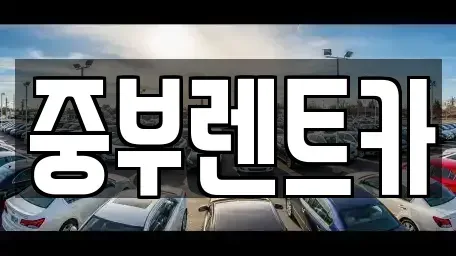 대전광역시 유성구 구성동 렌트카 전문 중부렌트카
