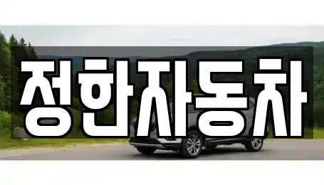 대전광역시 유성구 구성동 중고차 전문 정한자동차