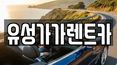 대전광역시 유성구 죽동 렌트카 전문 유성가가렌트카
