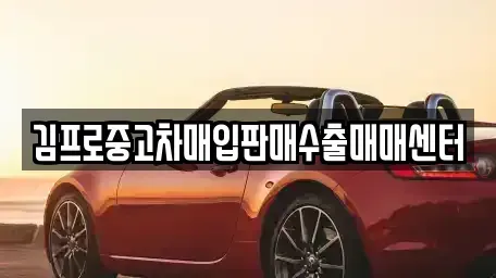 대전광역시 유성구 죽동 중고차 전문 김프로중고차매입판매수출매매센터
