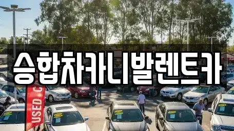 대전광역시 중구 선화동 렌트카 전문 승합차카니발렌트카