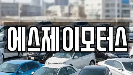 대전광역시 중구 선화동 렌트카 전문 에스제이모터스