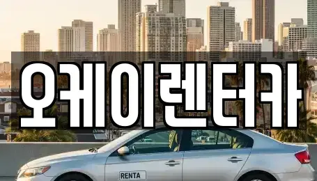 대전광역시 중구 침산동 렌트카 전문 오케이렌터카