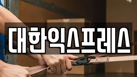대한익스프레스