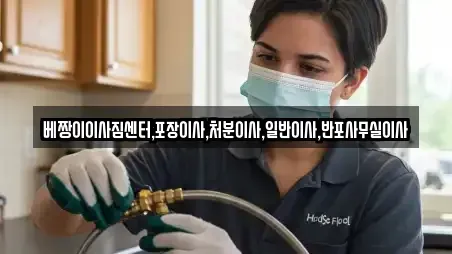 베짱이이사짐센터,포장이사,처분이사,일반이사,반포사무실이사