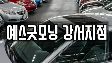 부산 강서구 녹산동 렌트카 전문 예스굿모닝 강서지점