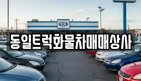 부산 강서구 녹산동 중고차 전문 동일트럭화물차매매상사
