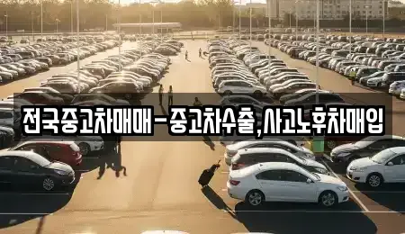 부산 강서구 녹산동 중고차매입 전문 전국중고차매매-중고차수출,사고노후차매입