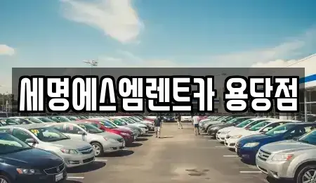 부산 남구 용당동 렌트카 전문 세명에스엠렌트카 용당점
