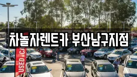 부산 남구 용당동 렌트카 전문 차놀자렌트카 부산남구지점