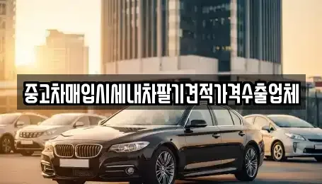 부산 남구 용당동 중고차매입 전문 중고차매입시세내차팔기견적가격수출업체