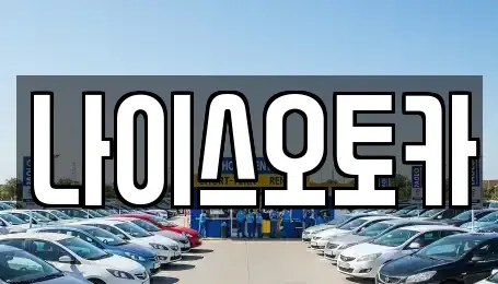 부산 부산진구 부암동 장기렌트카 전문 나이스오토카