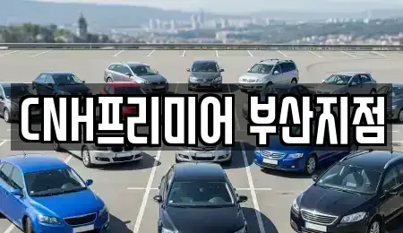 부산 중구 동광동3가 렌트카 전문 CNH프리미어 부산지점