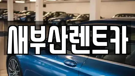 부산 중구 동광동3가 렌트카 전문 새부산렌트카