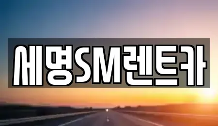 부산 중구 동광동3가 렌트카 전문 세명SM렌트카