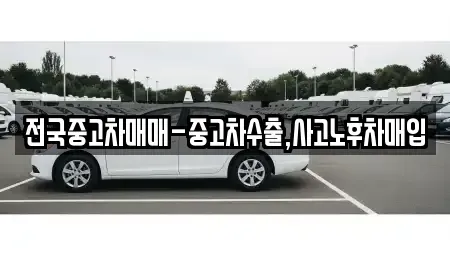 부산 중구 동광동3가 중고차매매 전문 전국중고차매매-중고차수출,사고노후차매입