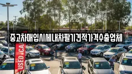 부산 중구 동광동3가 중고차매입 전문 중고차매입시세내차팔기견적가격수출업체