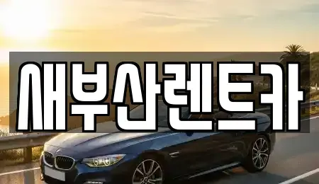 부산 중구 부평동4가 렌트카 전문 새부산렌트카
