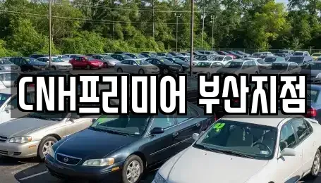 부산 중구 중앙동2가 렌트카,단기렌트카,장기렌트카,중고차,중고차매매,중고차매입