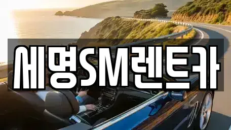 부산 중구 중앙동2가 렌트카 전문 세명SM렌트카