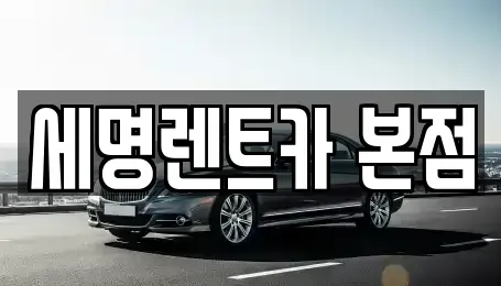 부산 중구 중앙동2가 렌트카 전문 세명렌트카 본점