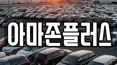 부산광역시 동구 초량동 장기렌트카 전문 아마존플러스