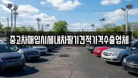 부산광역시 동구 초량동 중고차 전문 중고차매입시세내차팔기견적가격수출업체