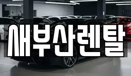 부산광역시 부산진구 연지동 렌트카 전문 새부산렌탈
