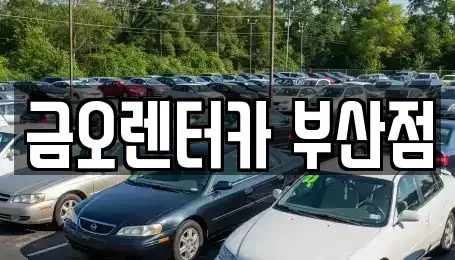 부산광역시 부산진구 연지동 장기렌트카,중고차,렌트카,단기렌트카,중고차매입,중고차매매