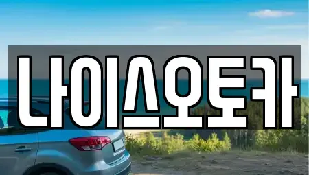 부산광역시 부산진구 연지동 장기렌트카 전문 나이스오토카
