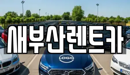부산광역시 서구 부용동2가 렌트카 전문 새부산렌트카