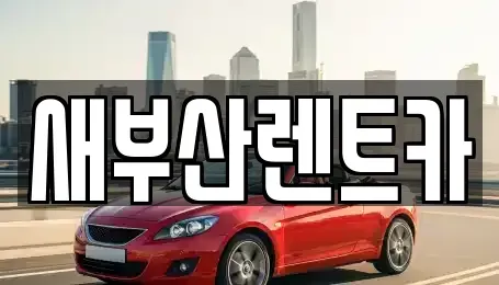 부산광역시 서구 암남동 렌트카 전문 새부산렌트카
