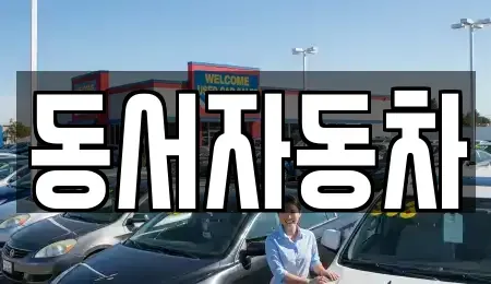 부산광역시 서구 암남동 중고차매매 전문 동서자동차