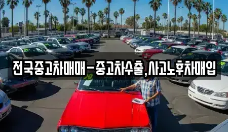 부산광역시 서구 암남동 중고차매매 전문 전국중고차매매-중고차수출,사고노후차매입